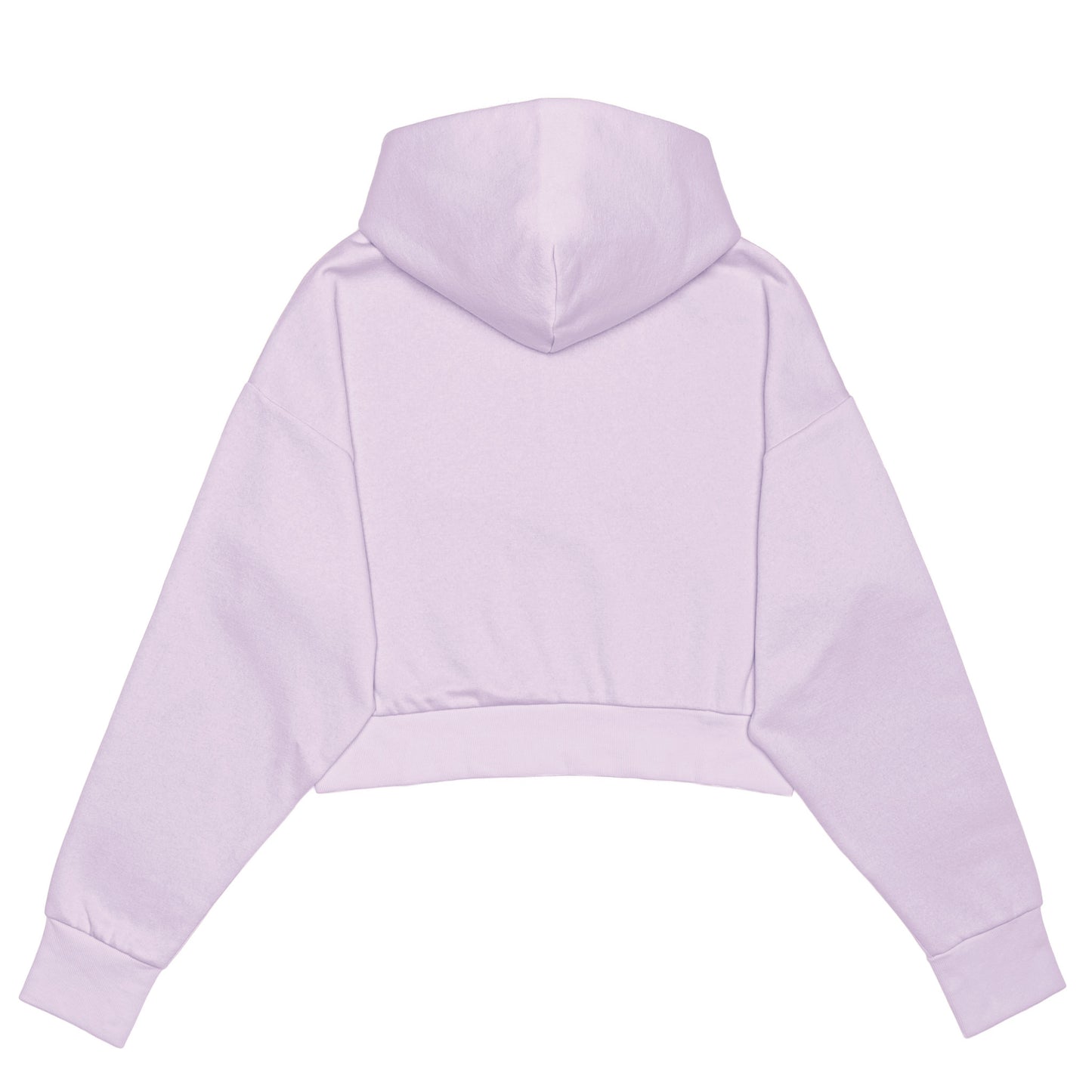 Women's Hoodie Zipped Crop Top