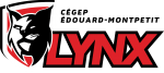 Logo lynx complet fond blanc